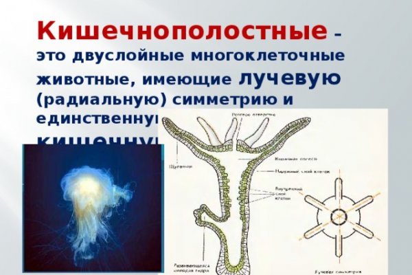 Кракен вместо гидры